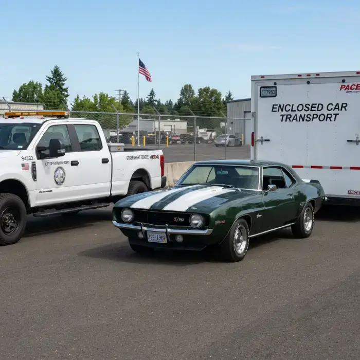 Government Transport